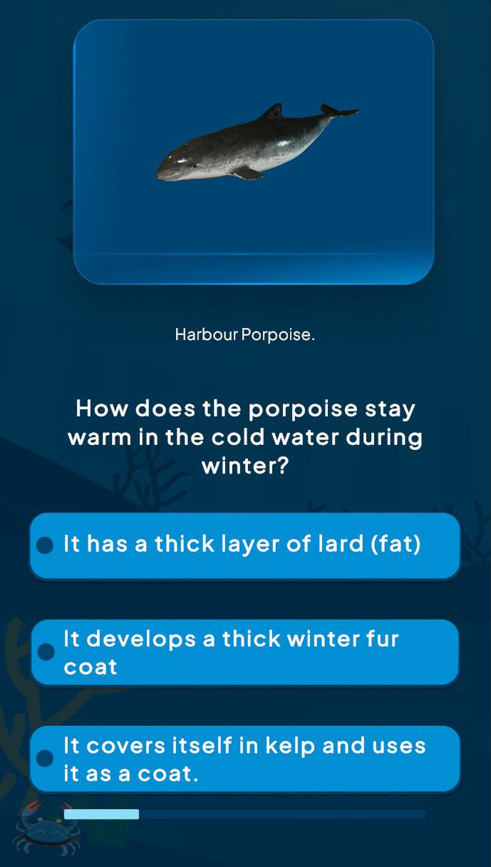 Naturpark gameplay - Innopixel